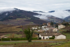 Beaujolais-1