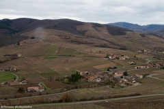 Beaujolais-5